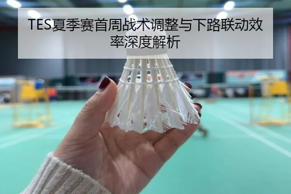 TES夏季赛首周战术调整与下路联动效率深度解析